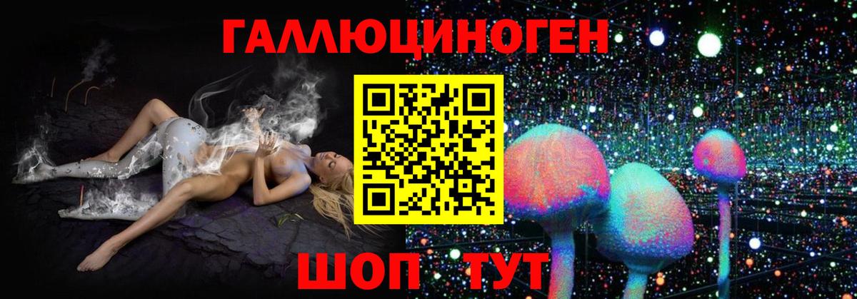 Галлюциногенные грибы Psilocybine cubensis Ангарск